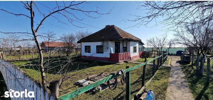 Cota 1/2 din casa si teren- Comuna Cocora, Judetul Ialomita - 1