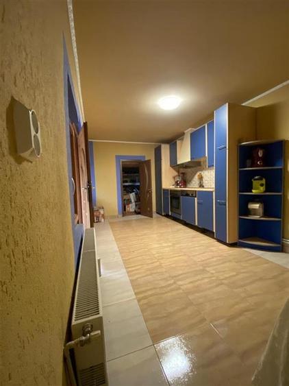 RECO Casa Spatioasa la 7km de Beius - 7