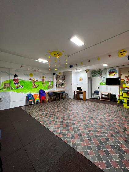 Parc Carol Vila 9 Camere - 3