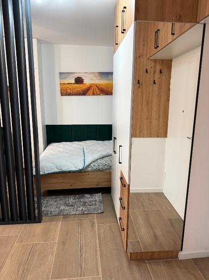 Ap o cameră 41 mp plus terasa Torontalului Ateneo - 2