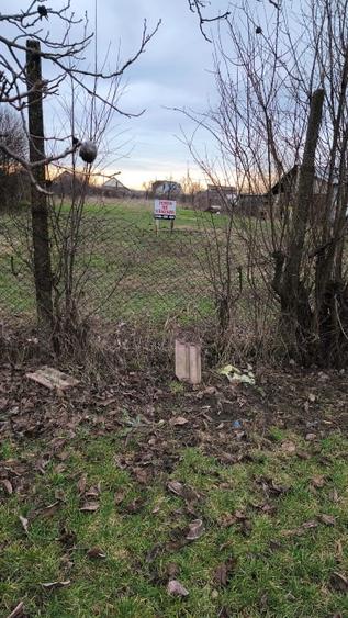 Teren Dinias/Peciu Nou 2 fronturi stradale - 3