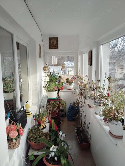 Casa si teren in natura - 3