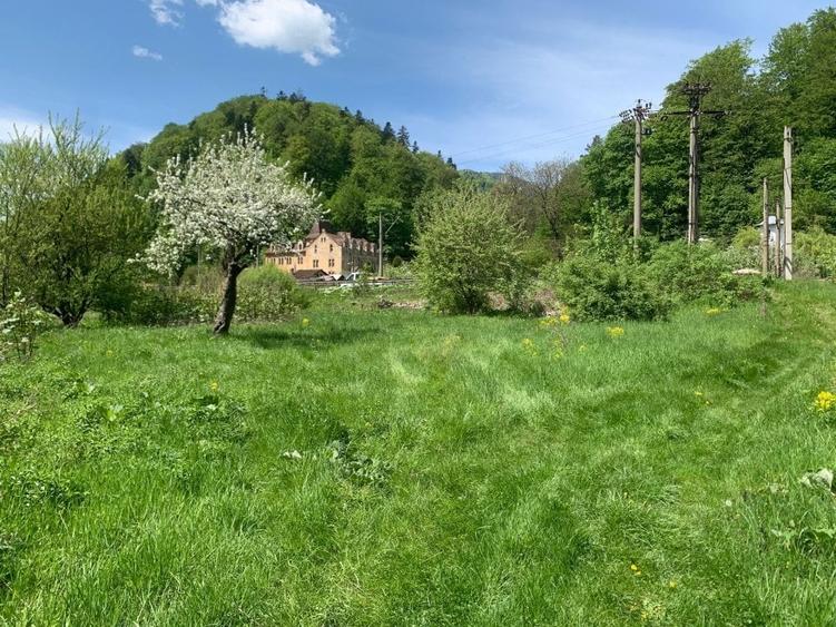 Teren de vanzare DN1. - 6