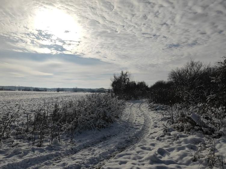 Teren Bolintin-deal, pretabil investitii - 1