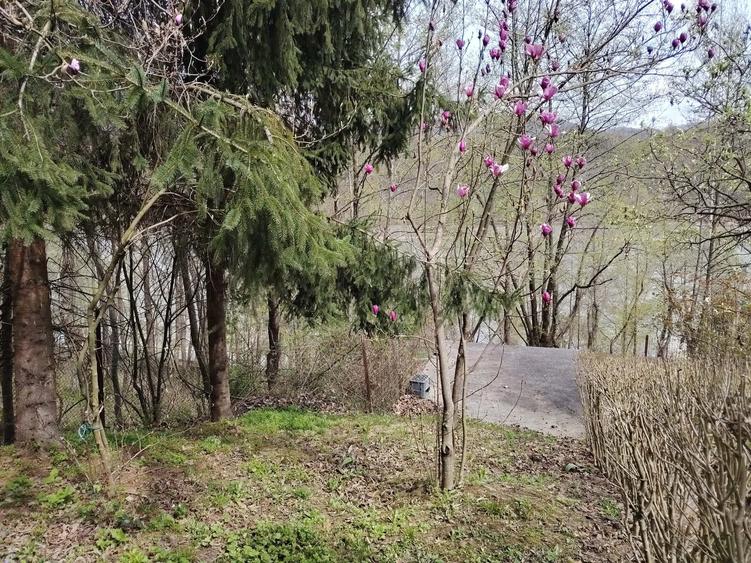 Proprietate de vacanta Valea Oltului - BREZOI - 21