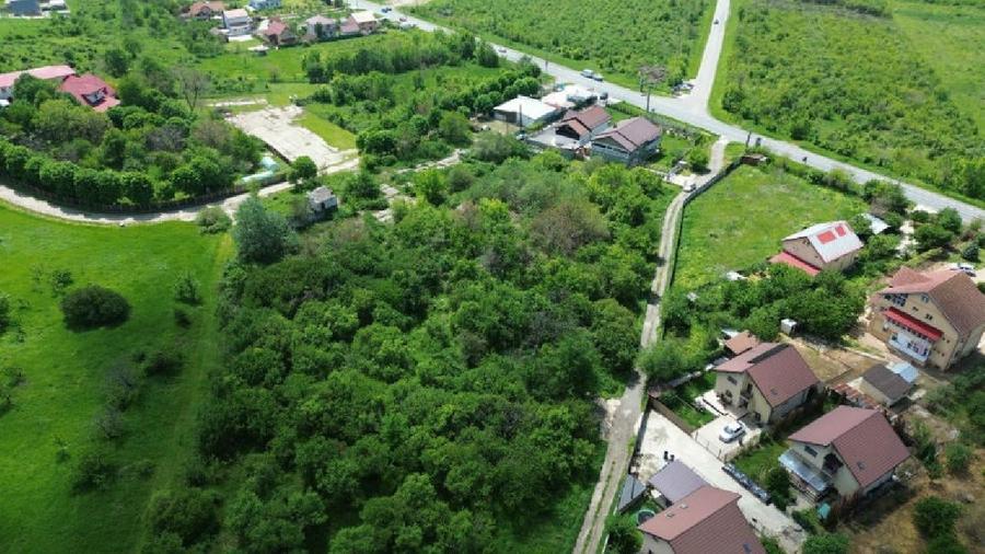 Teren intravilan 4.300 mp - Aninoasa, Dâmbovița | COMISION 0% - 7