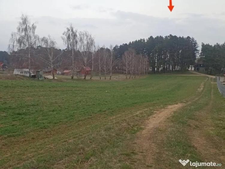 De vanzare terenuri intravilane in Reci - 8