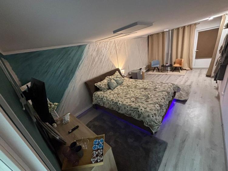 Studio de lux de inchiriat Bascov - 1