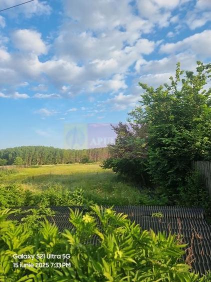 Se vinde teren 2150 mp in Teisori Giurgiu - 10