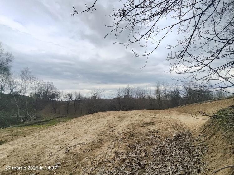 Teren extravilan Sibiel - Fantanele , vedere panoramica - 7