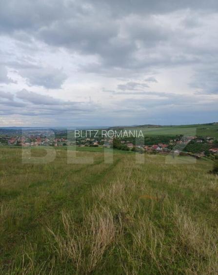 Teren extravilan 1249 mp in Copaceni! Oportunitate investiti Teren extravilan 1249 mp in Copaceni! Oportunitate investiti