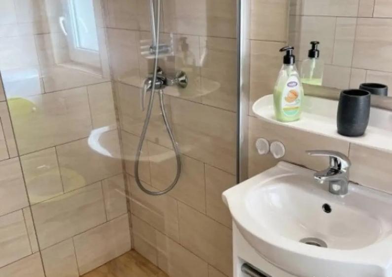 Cabana cu 4 dormitoare, foisor, ciubar, Statiunea Muntele Ba - 15