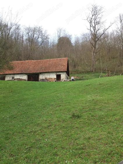 Casa cu teren foarte mare in Halmagiu - 7