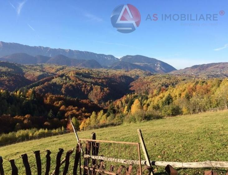 Teren intravilan de 10669 mp, în Moieciu de Jos