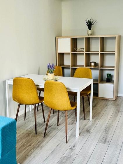 Apartament central 2 camere de inchiriat pe Horea 44 - 5