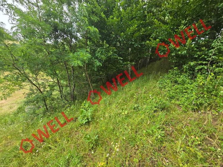 De vânzare teren extravilan loc. Sărămaș! - 3