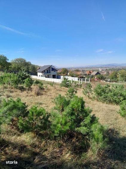 Vand teren intravilan 650mp - 1