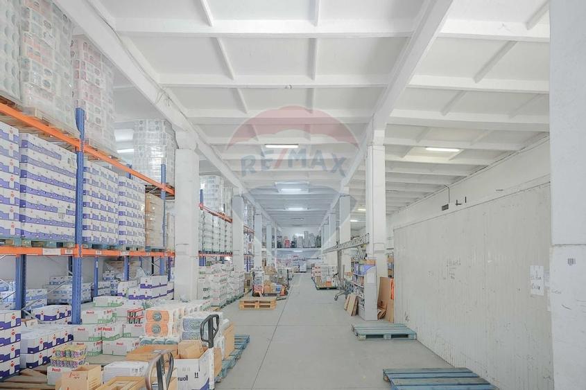 De vânzare Spațiu industrial de 10 129 mp Șoseaua Borșului - 36