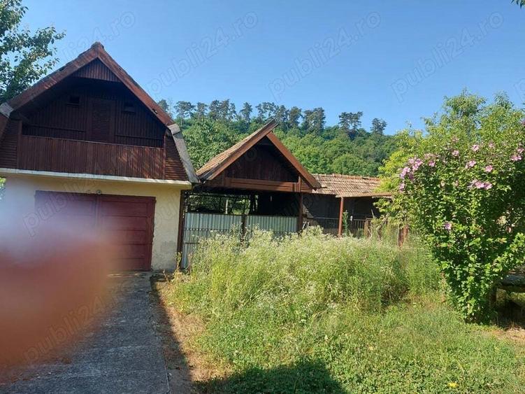 Casa cu gradina in Blaj - 7