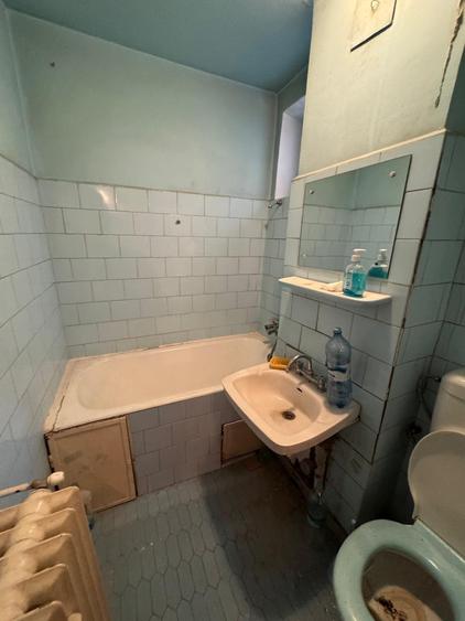 PIATA VICTORIEI ADIACENT DIN BD. TITULESCU, VERONICA MICLE - 7