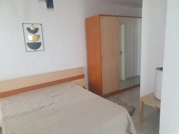 Vind studio Sinpetru - 7