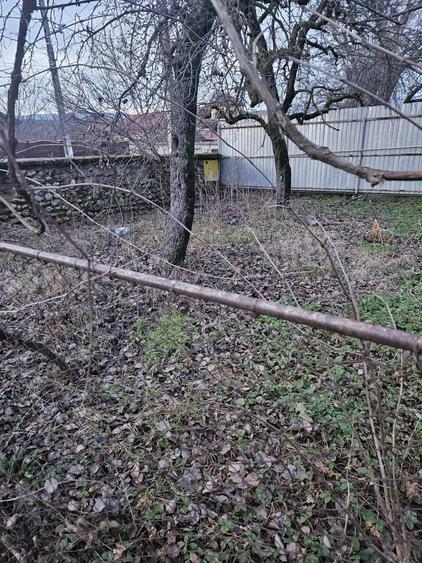 Casa Stane?ti Gorj 7000mp - 3