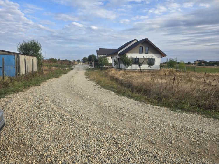 Vand teren Comuna Berceni ilfov - 4