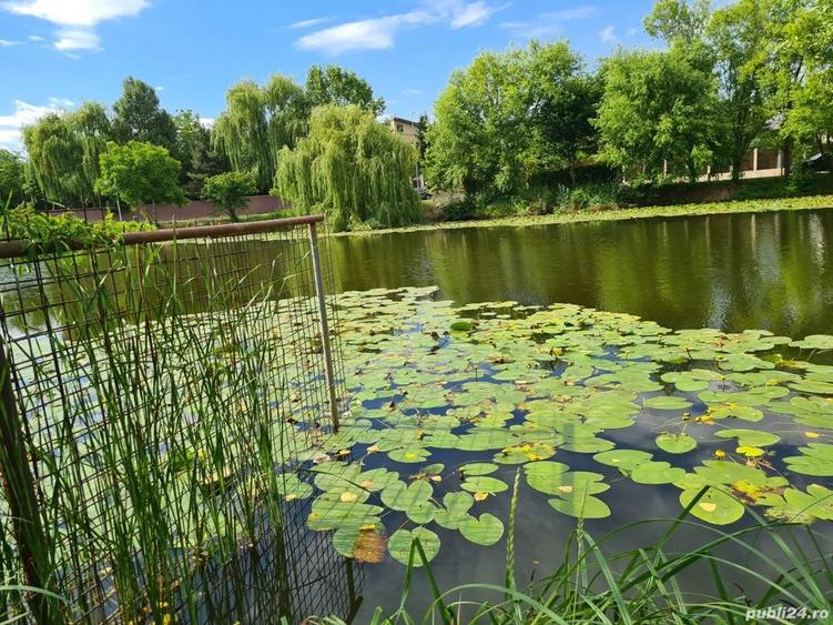 Teren de inchiriat - 4