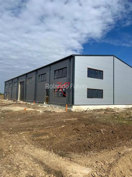 Vanzare Hala Noua Dascalu, plus teren