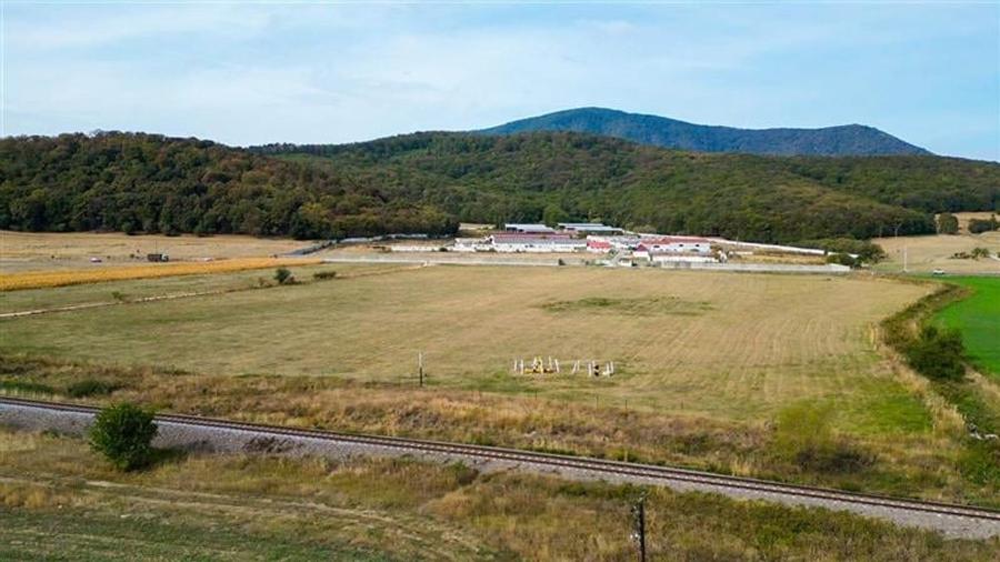 FILM! 60.000 mp, teren intravilan, acces la DN1, Codlea, Brasov - 11