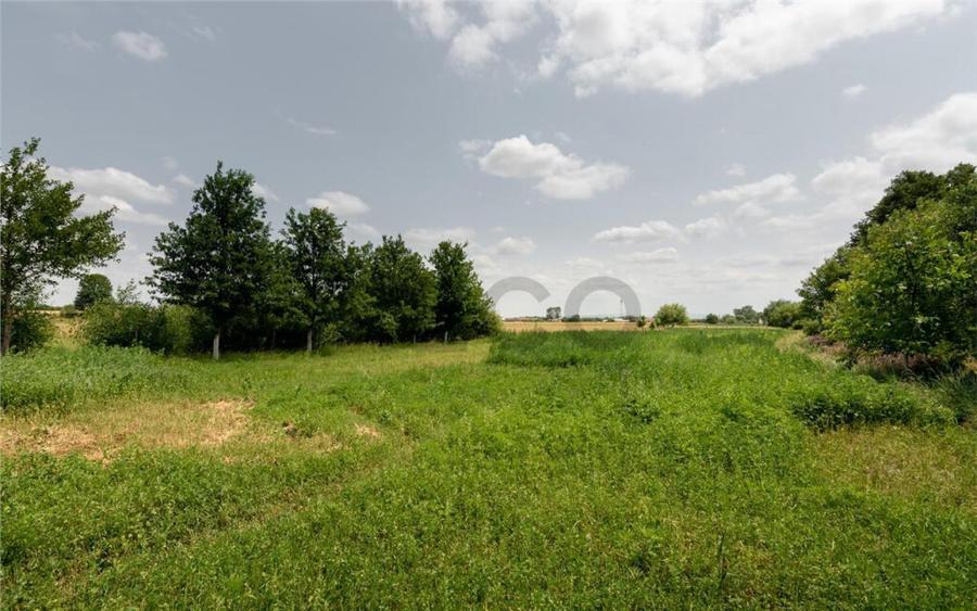 RECO Casa de Ineu - 2