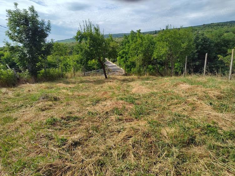 Casă cu 3 camere cu Teren 1200 Mp în Goruni