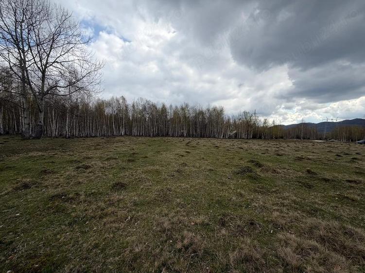 Teren extravilan de vanzare in Coasta Cerbului, comuna Slatioara, Jud Valcea - 8