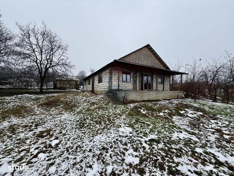 Casa Bolotesti / Vitanestii de Sub Magura - 10