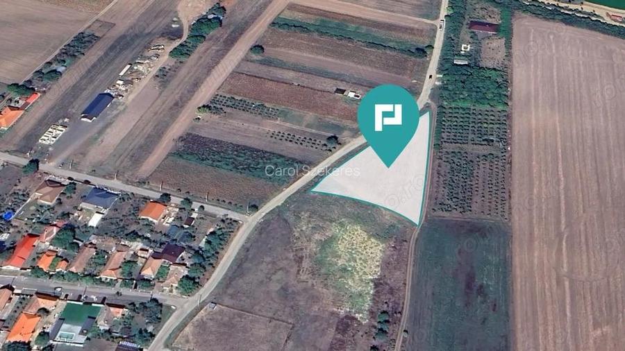 Teren intravilan de 4500 mp in Zadareni