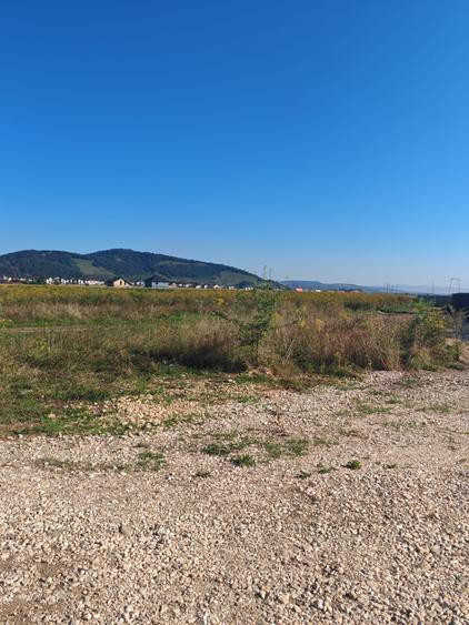 Teren Intravilan de vanzare - 2