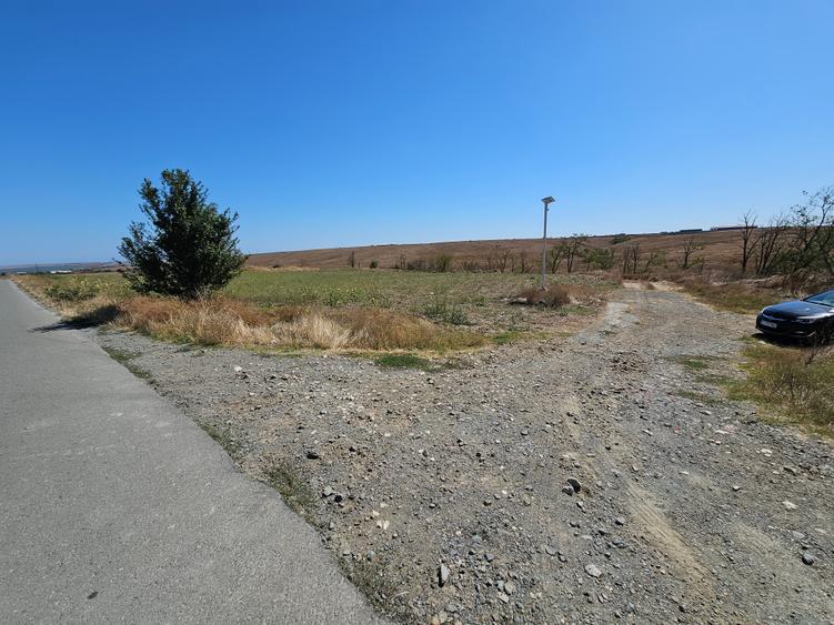 Teren Extravilan 10000 Mp Sibioara Constanta - 7