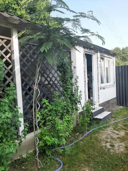 Casa de vanzare Sannicolau Mare - 5