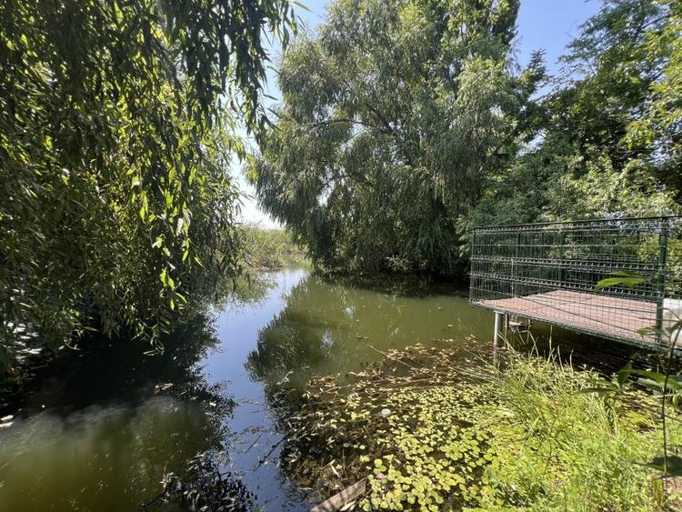 Teren cu deschidere la Lac Snagov. - 1