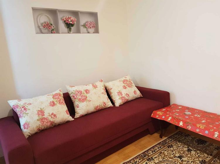 Electronicii, D-na Ghica, sec 2, d-na peste 45 ani, fara animale - 3