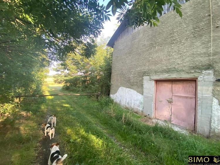 Teren 2000mp cu hala - 4