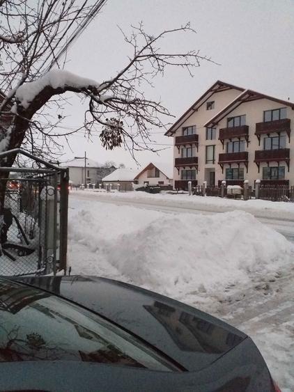 Dau in chirie apartament in Seini - 7