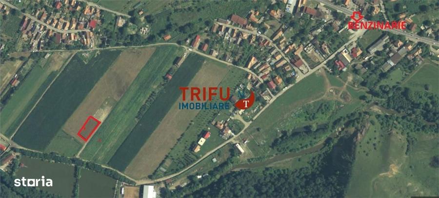 Teren pentru casa in Sard - 6