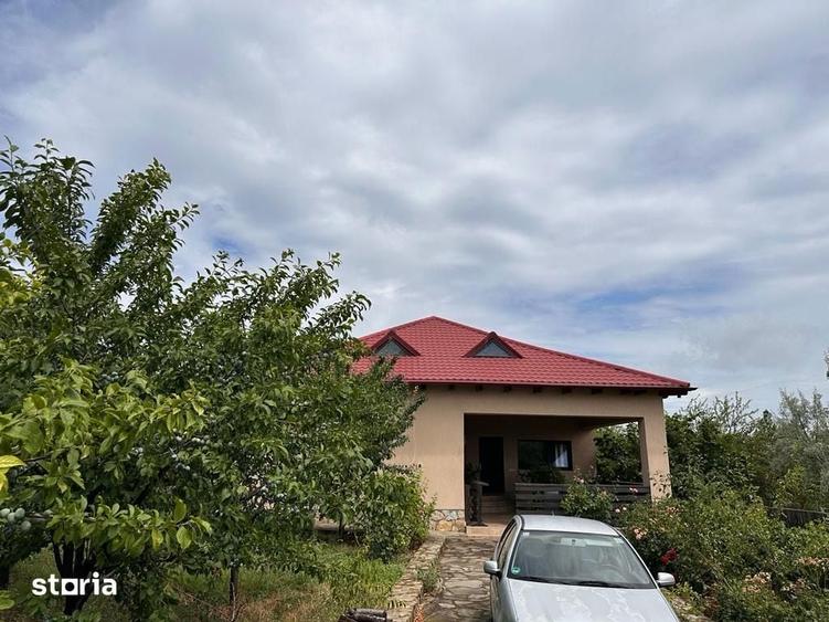 Casa parter com Pietroasele , pe dealul Istrita - 1