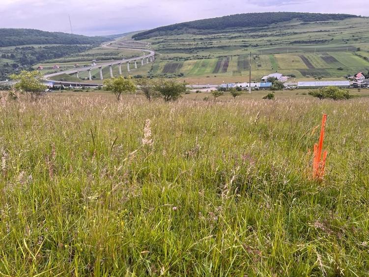 Teren de vanzare in Valcele - 7