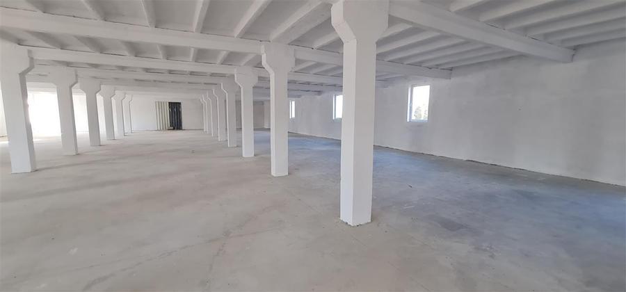 Hala 500 mp  zona Aeroport si Autostrada A1 - 9