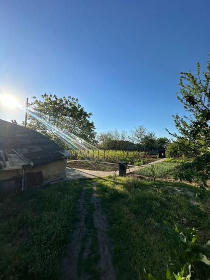 Baneasa, Giurgiu - 9