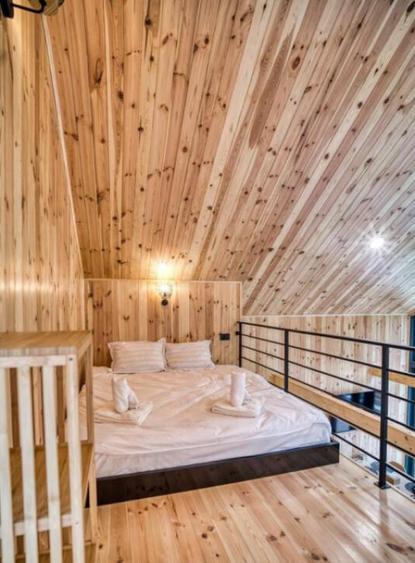 Cabane scandinave premium, vedere catre padure investi - 14