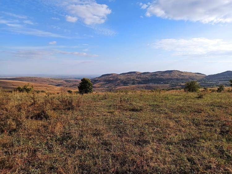 Terenuri in extravilan - 7