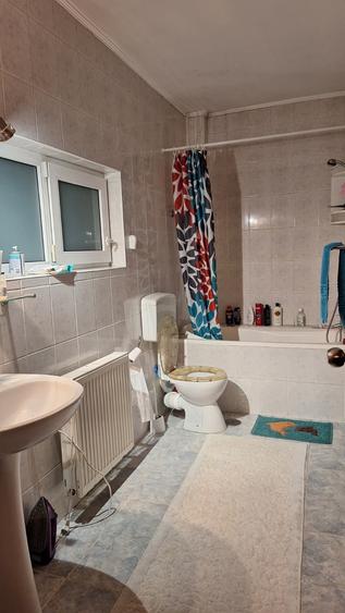 Imobil de inchiriat in zona Brancoveanu - Martisor - 15